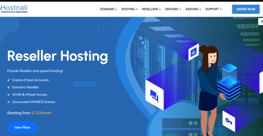 Reseller Hosting in Tanzania