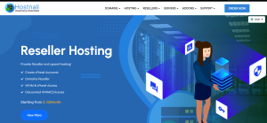 Reseller Hosting in Ethiopia