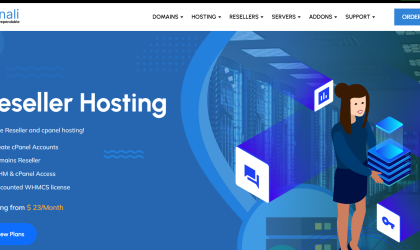 Reseller Hosting in Ethiopia
